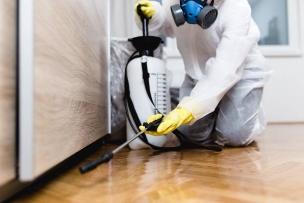 Best Pest Control Cost  in Eming Island, FL