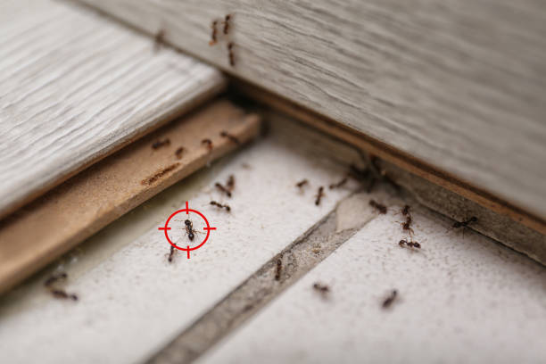 Pest Control Cost in Fleming Island, FL