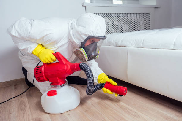 Best Wasp Removal Services  in Eming Island, FL