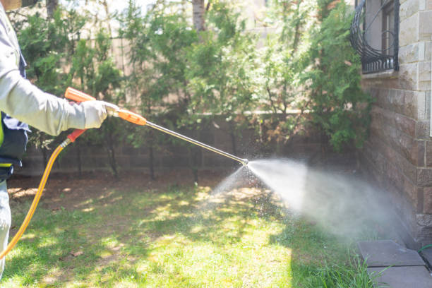 Best Pest Prevention Services  in Eming Island, FL