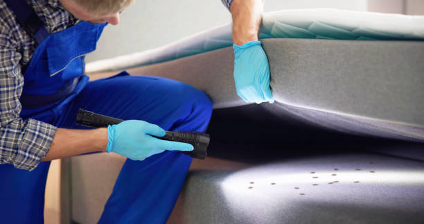 Best Best Pest Control Companies  in Eming Island, FL