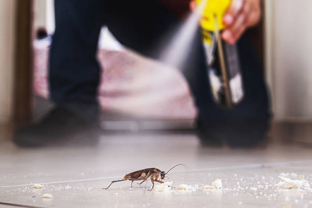 Best Pest Control for Restaurants  in Eming Island, FL