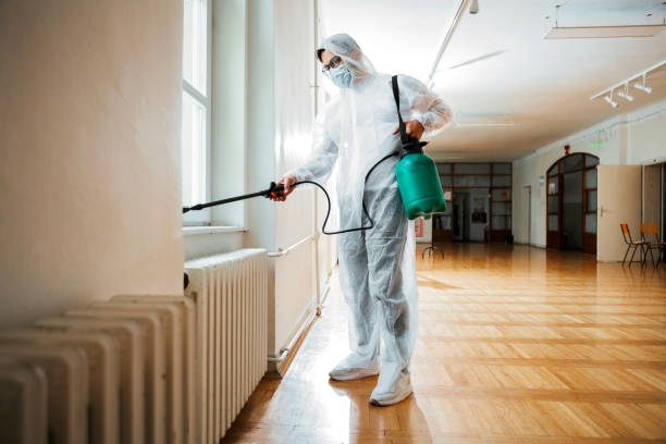 Best Emergency Pest Control  in Eming Island, FL